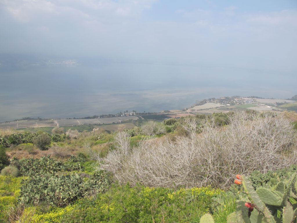 Una vista desde los altos del Golan hacia el valle israelí