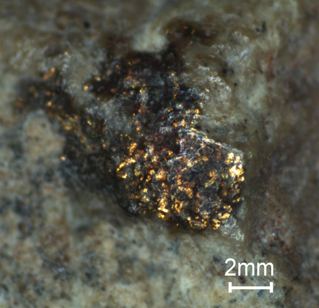 Evidencia de rastros de oro bajo el microscopio Evidencia de rastros de oro bajo el microscopio.