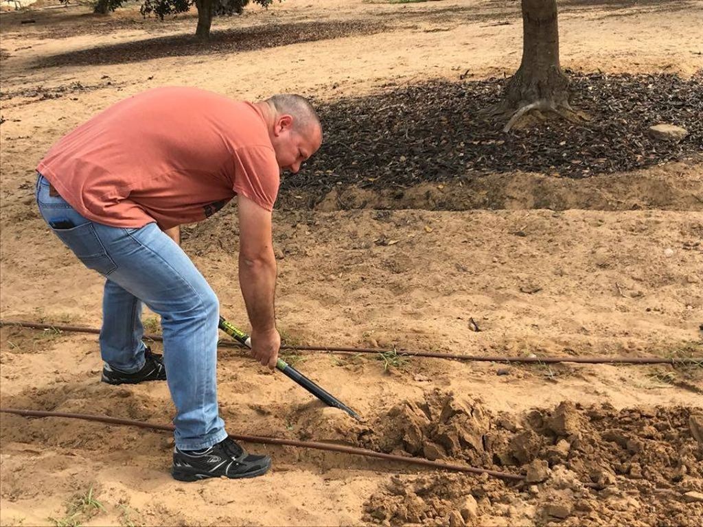 Trabajando la tierra