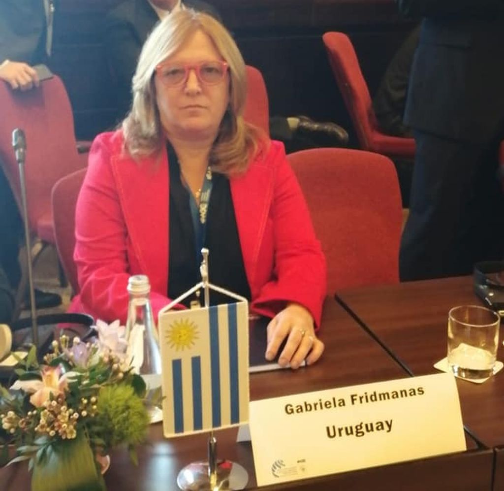 Gabriela representando al CCIU en un Foro Internacional de Directores de Comités Centrales de comunidades judías del mundo, realizado en Rumania por iniciativa del Congreso Judío Mundial