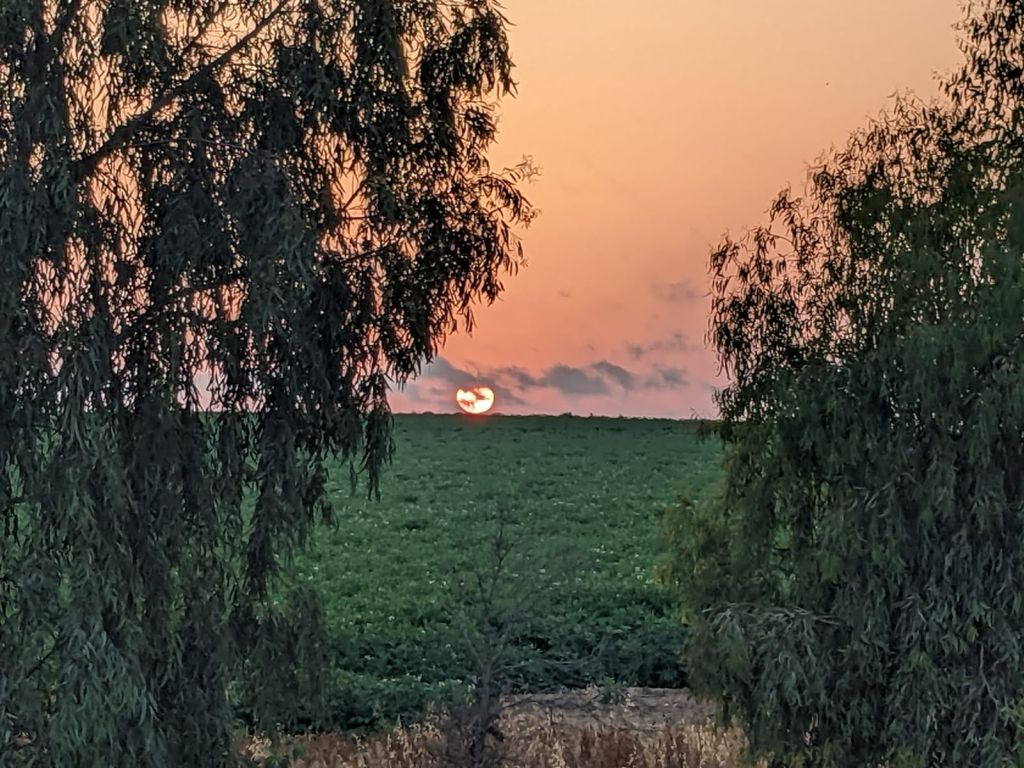 Y en camino de regreso al centro de Israel, los hermosos paisajes pastorales de esa zona, contrastaban con la tensión siempre latente de fondo