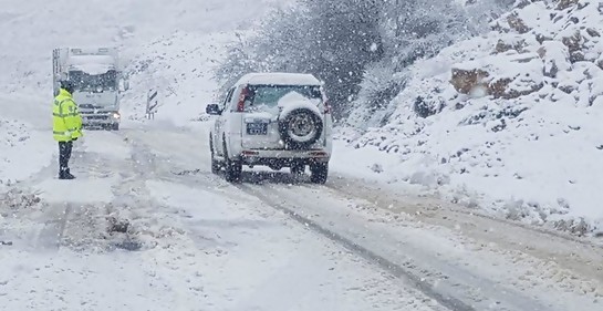 Nieve en Israel