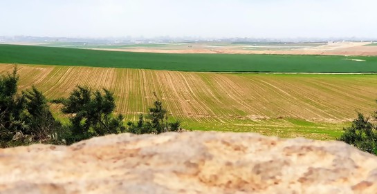 Las tierras quemadas en el sur de Israel se han recuperado