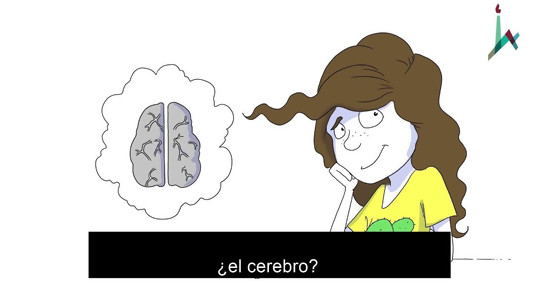 Neurociencias: Art, Brain & Creativity