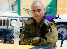 General Yoel Stryk, Fuerzas de Defensa de Israel