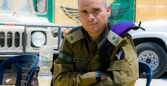 General Yoel Stryk, Fuerzas de Defensa de Israel