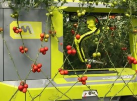 Israel presenta el primer robot de recolección de tomates del mundo
