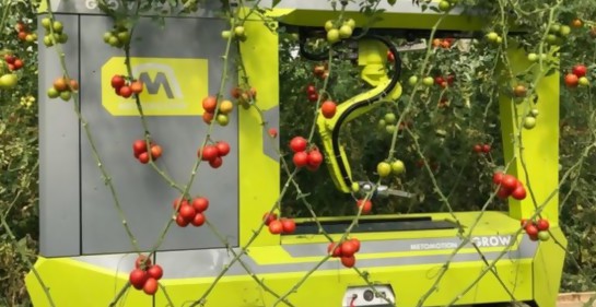 Israel presenta el primer robot de recolección de tomates del mundo