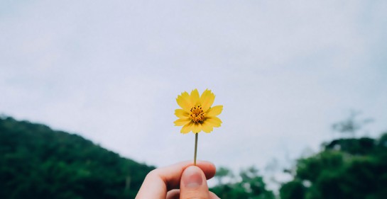 ¿La gente exitosa es feliz o es que la gente feliz es exitosa?