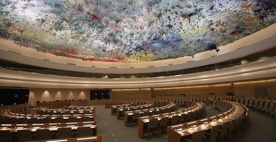 El Consejo de Derechos Humanos de la ONU y las bases de datos de empresas comerciales