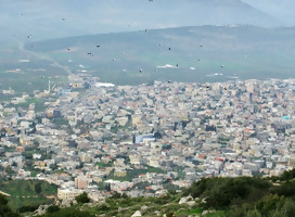 Los árabes afortunados en el Medio Oriente