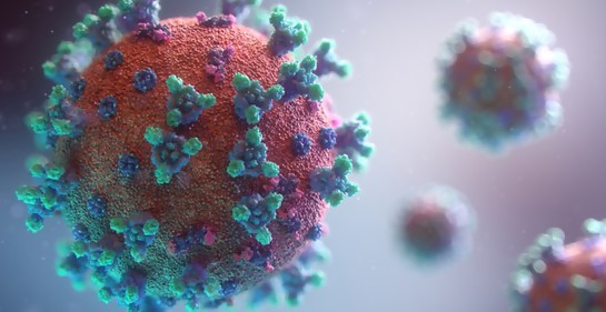 Sobre el coronavirus