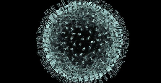 Las consecuencias políticas a largo plazo del coronavirus