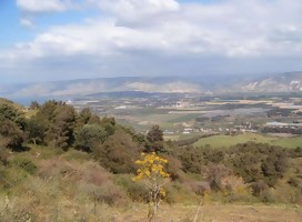 Foto: wikipedia