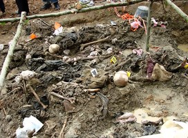 https://commons.wikimedia.org/wiki/File:Srebrenica_Massacre_-_Exhumed_Grave_of_Victims_-_Potocari_2007.jpg#/media/Archivo:Srebrenica_Massacre_-_Exhumed_Grave_of_Victims_-_Potocari_2007.jpg