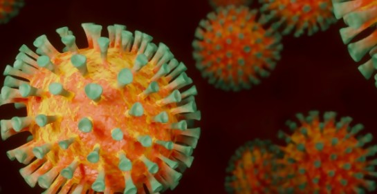 Coronavirus, otra visión alarmante que hay que escuchar