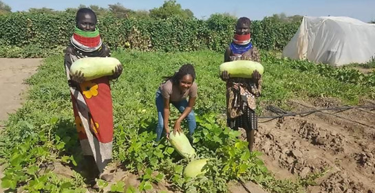 Graduada llega desde Israel con grandes ideas para el Turkana seco