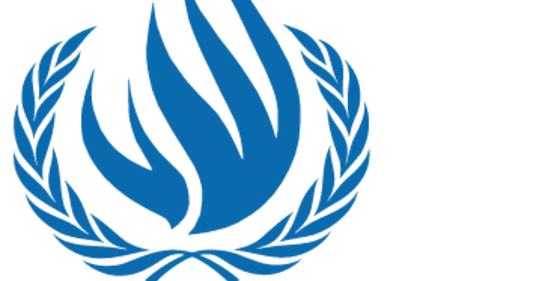 7 Problemas con el Consejo de Derechos Humanos  de la ONU