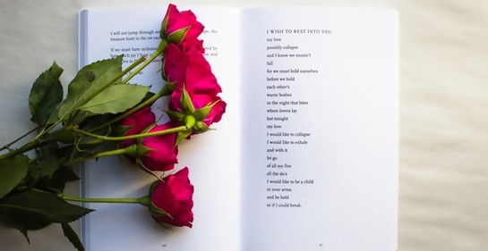 Poemas de la poeta israelí Tali Weiss
