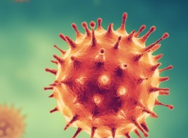 Nueva información importante sobre Coronavirus en Israel