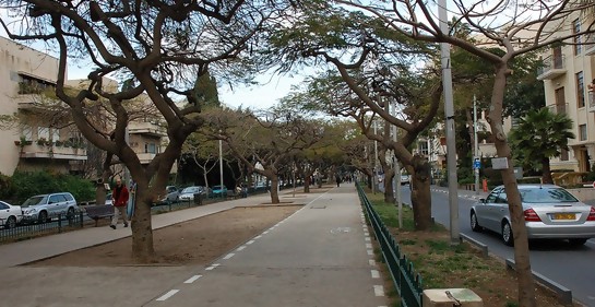 Las calles de Tel Aviv relatan la historia de la ciudad