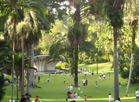 https://commons.wikimedia.org/wiki/File:Singapore_Botanic_Gardens_Palm_Valley.jpg#/media/File:Singapore_Botanic_Gardens_Palm_Valley.jpg
