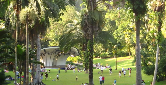 https://commons.wikimedia.org/wiki/File:Singapore_Botanic_Gardens_Palm_Valley.jpg#/media/File:Singapore_Botanic_Gardens_Palm_Valley.jpg