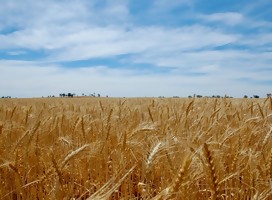 Para planear tu Shavuot en Montevideo