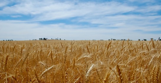 Para planear tu Shavuot en Montevideo