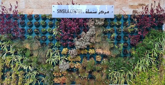 Techos vacíos de Jerusalén Este se vuelven productoras de miel y paz