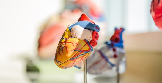 A través del teléfono inteligente se  detectan síntomas de problemas en el corazón