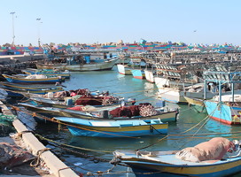 La inexacta historia que el New York Times publica sobre la historia de la pesca en  Gaza