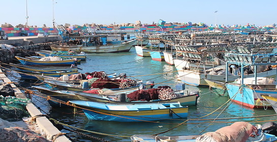 La inexacta historia que el New York Times publica sobre la historia de la pesca en  Gaza