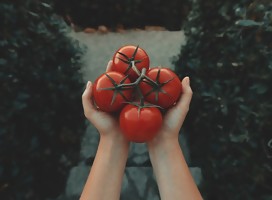 Un spray permite que las frutas y verduras no se pudran