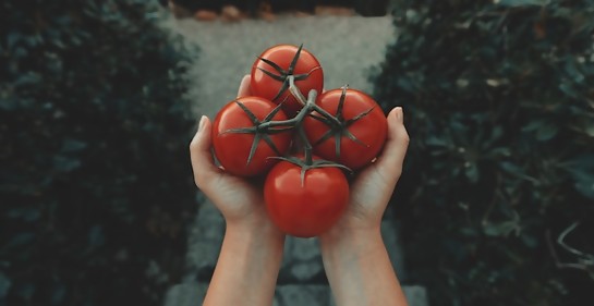 Un spray permite que las frutas y verduras no se pudran