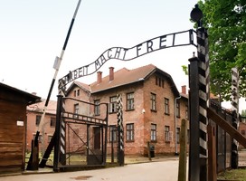 Auschwitz-Birkenau: Antropología del horror (V)