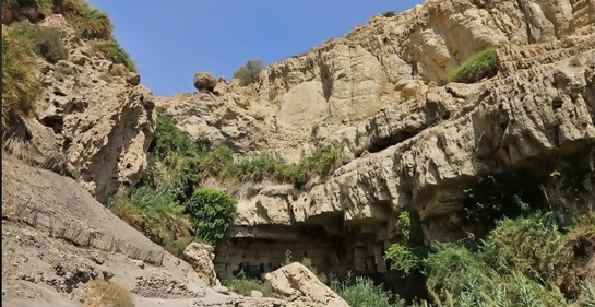 Paseo familiar en una reserva natural en Israel, terminó en tragedia