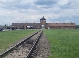 BIRKENAU- Una experiencia singular (VI)