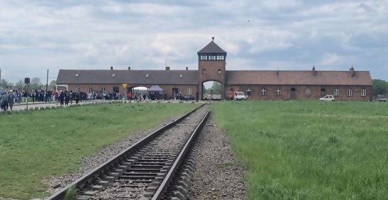 BIRKENAU- Una experiencia singular (VI)