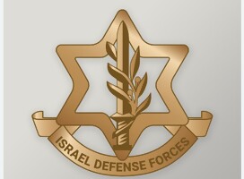 Serias fallas pero no intención de ejecutar rescatistas, es el resumen de la investigación militar