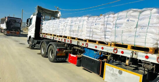 Aquí está el detalle de la ayuda humanitaria de Israel a Gaza