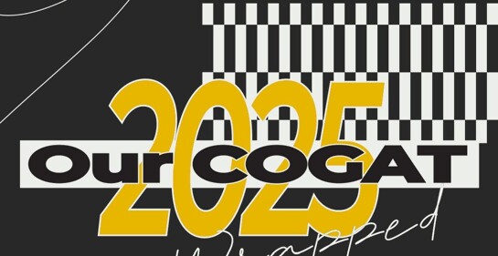 Esta fue la ayuda humanitaria introducida por Israel a Gaza en el 2025