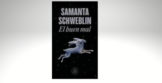 Taller de literatura latinoamericana: Samanta Schweblin y el arte de incomodar