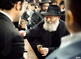 https://photos.jemedia.org/gallery/Portraits Mi Encuentro con El Rebe