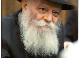 https://photos.jemedia.org/gallery/Portraits Mi Encuentro con El Rebe