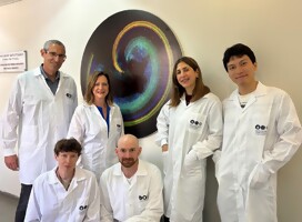 Potencial esperanzador para restaurar audición, logran científicos de Tel Aviv
