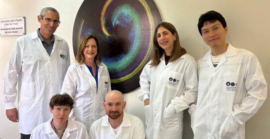 Potencial esperanzador para restaurar audición, logran científicos de Tel Aviv