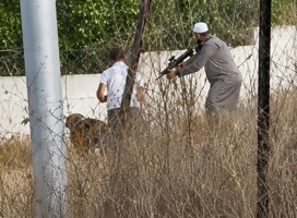 Tres atentados en dos días y polémica sobre la circunstancia del desenlace mortal