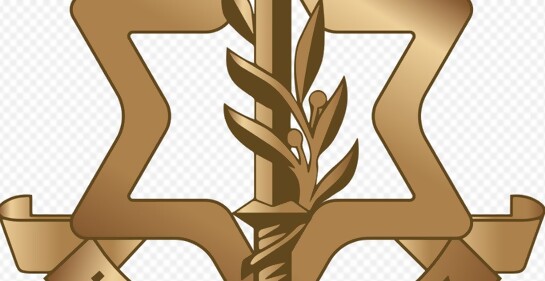 Esta es la respuesta del ejército israelí a las acusaciones de la película NAZA