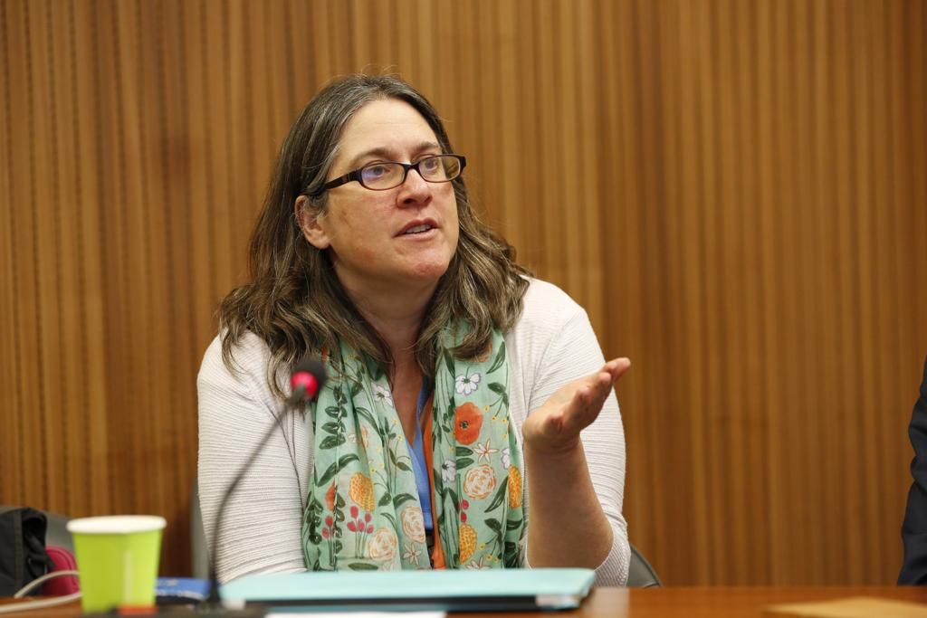 Abogada Anne Herzberg de NGO Monitor